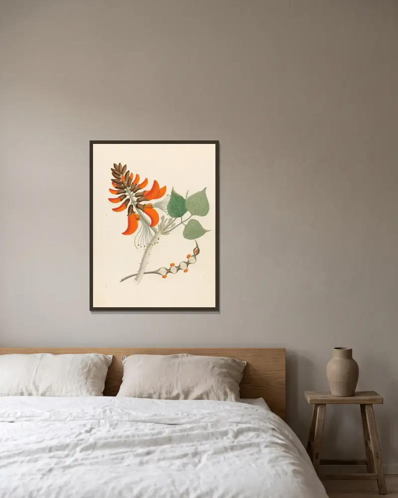 Erythrina Caffra av Clemenz Heinrich Wehdemann inramad på en vägg
