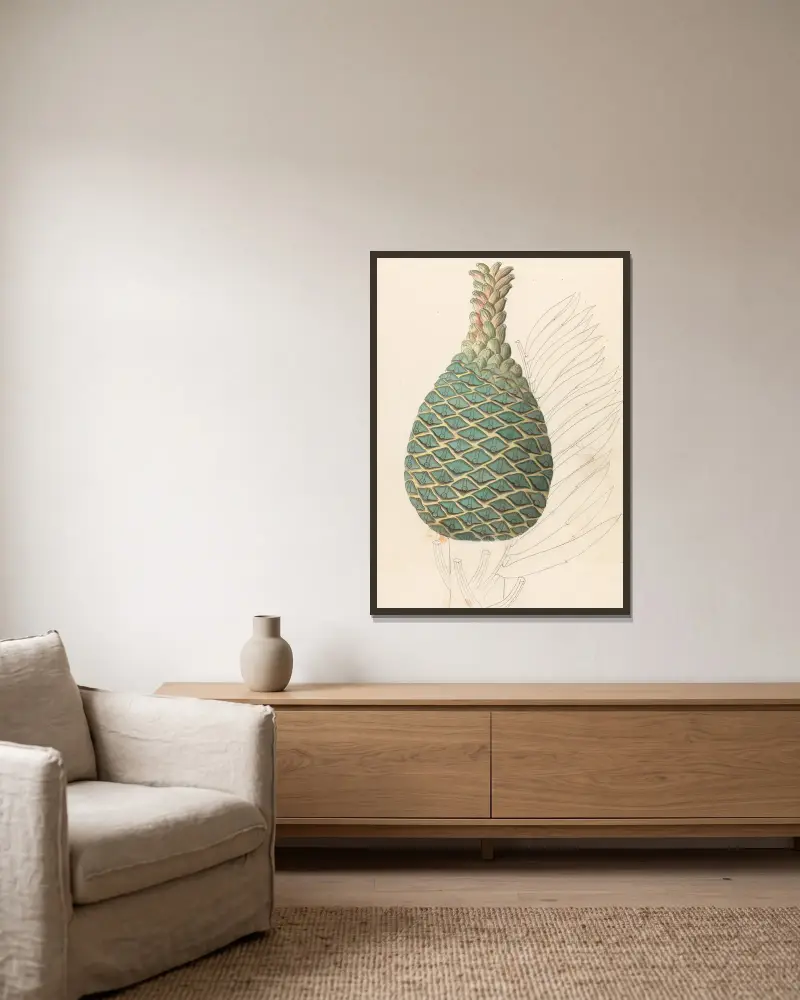 Zamia caffra [Encephalartos altensteinii weiblicher Zapfen] von Clemenz Heinrich Wehdemann gerahmt an einer Wand