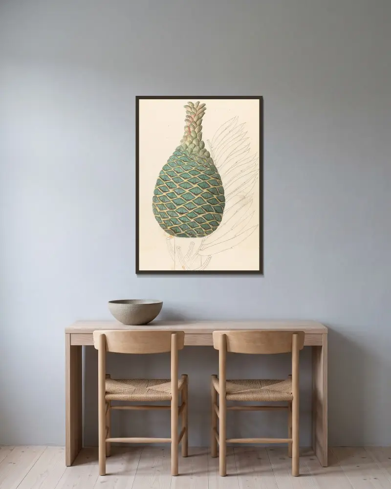 Zamia caffra [Encephalartos altensteinii weiblicher Zapfen] von Clemenz Heinrich Wehdemann gerahmt an einer Wand