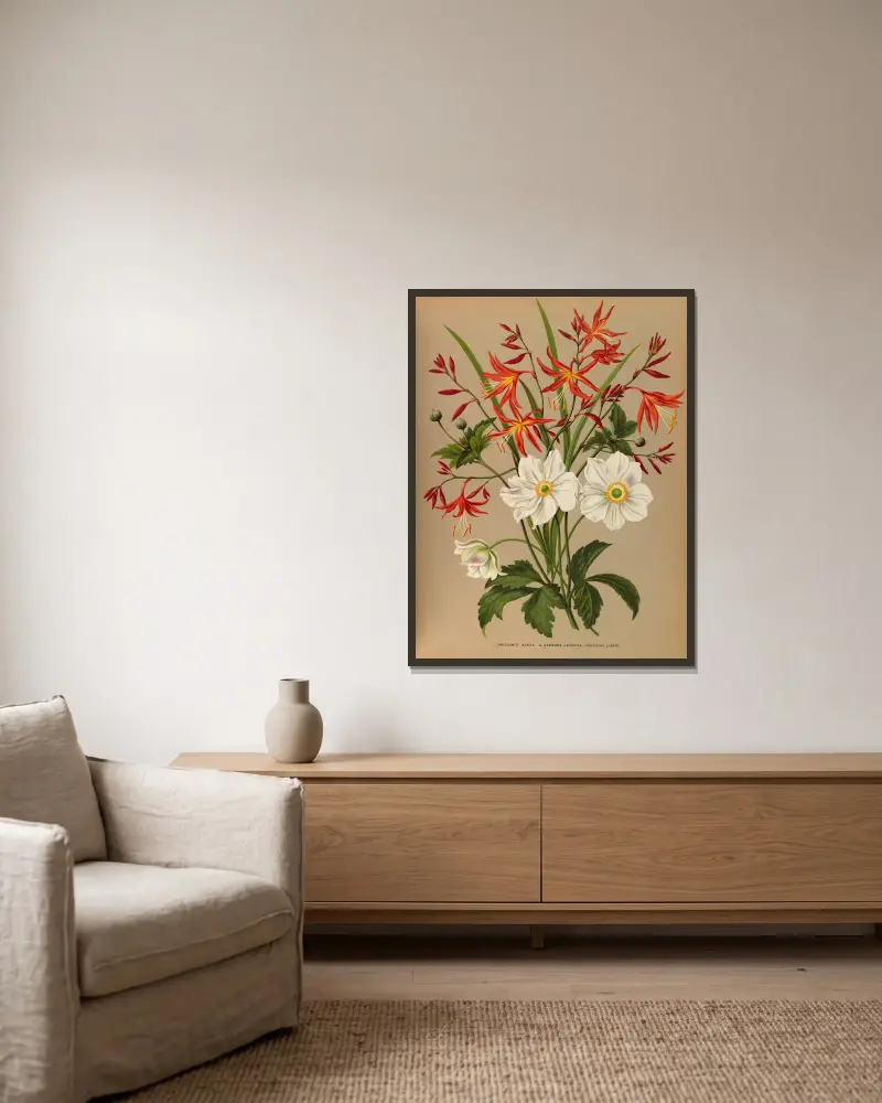 1. Crocosmia aurea. 2. Anemone japonica 'Honorine Jobert' av Arentina Hendrica Arendsen inramad på en vägg