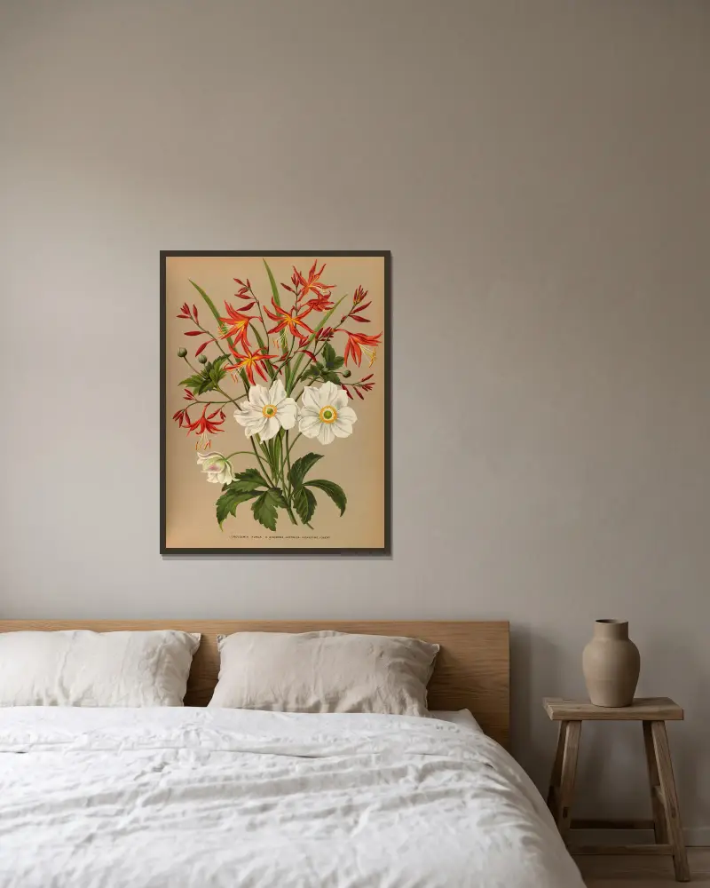 1. Crocosmia aurea. 2. Anemone japonica 'Honorine Jobert' av Arentina Hendrica Arendsen inramad på en vägg