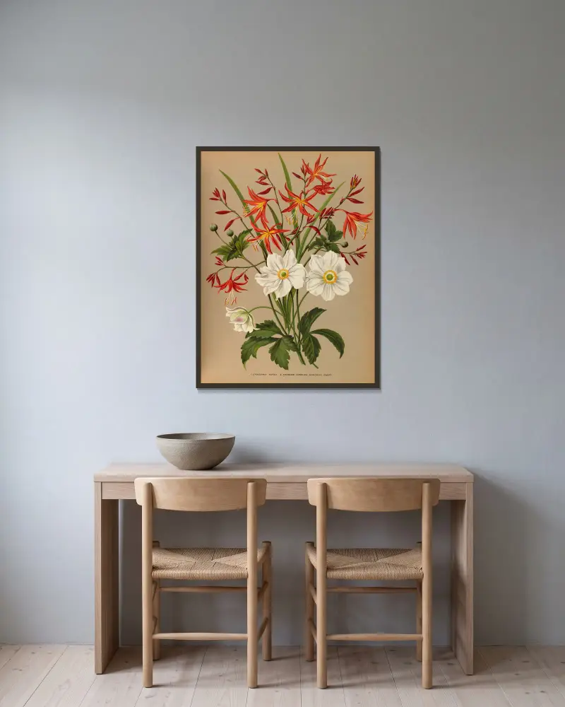 1. Crocosmia aurea. 2. Anemone japonica 'Honorine Jobert' av Arentina Hendrica Arendsen inramad på en vägg