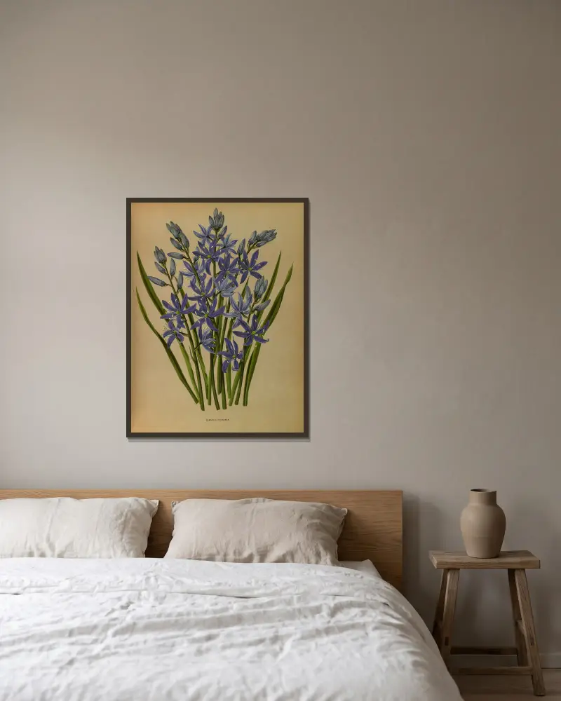Camassia esculenta av Arentina Hendrica Arendsen inramad på en vägg