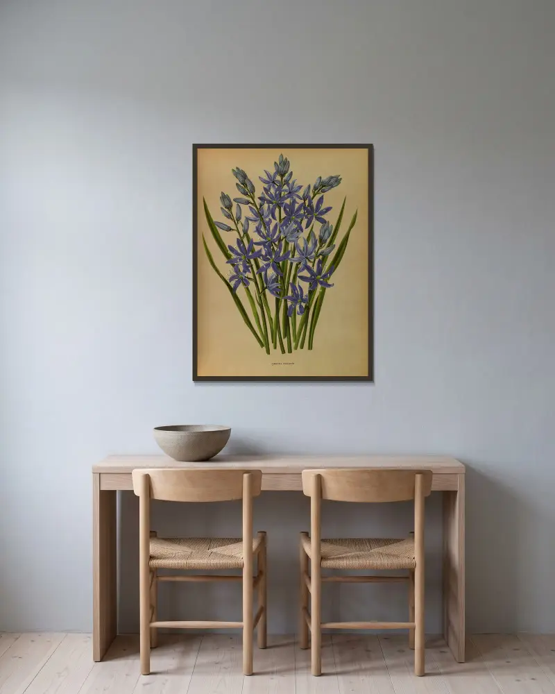Camassia esculenta av Arentina Hendrica Arendsen inramad på en vägg
