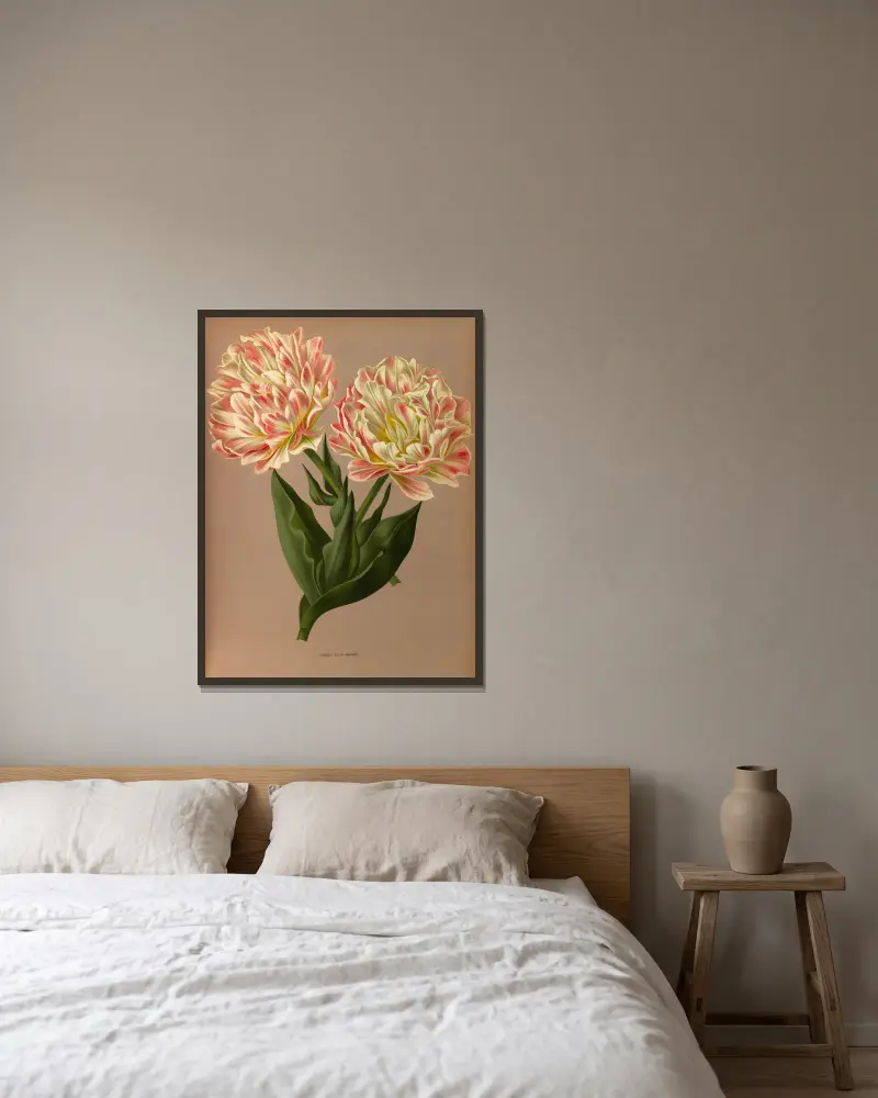 Dvojitý tulipán Raphael, Arentina Hendrica Arendsen v rámu na stěně