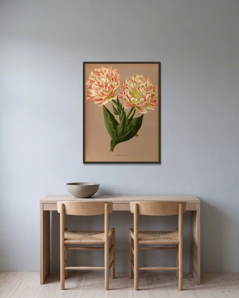 Dvojitý tulipán Raphael, Arentina Hendrica Arendsen v rámu na stěně