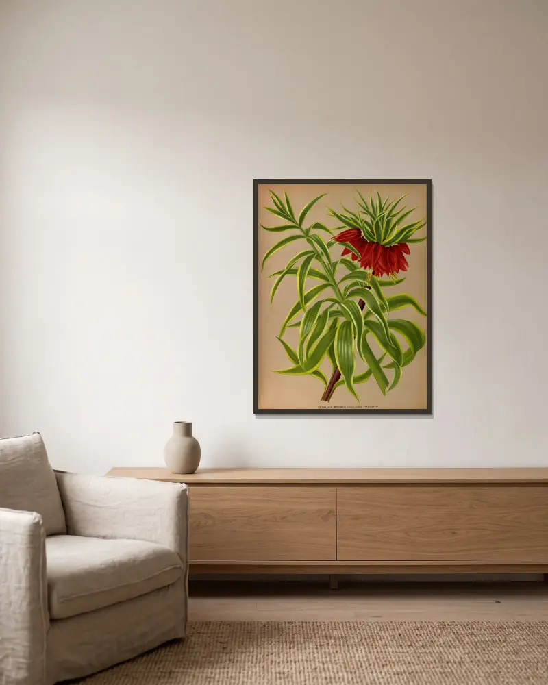 Fritillaria imperialis med gulbrokiga blad av Arentina Hendrica Arendsen inramad på en vägg