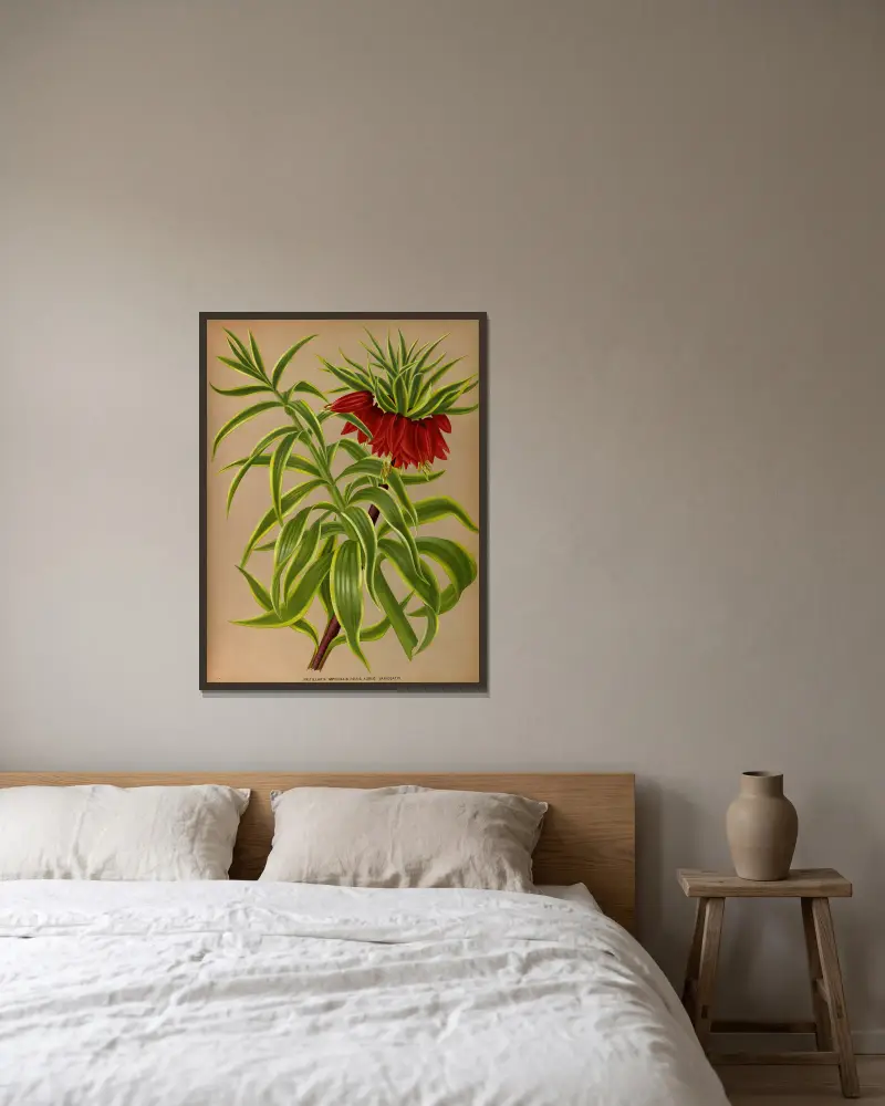 Fritillaria imperialis med gulbrokiga blad av Arentina Hendrica Arendsen inramad på en vägg