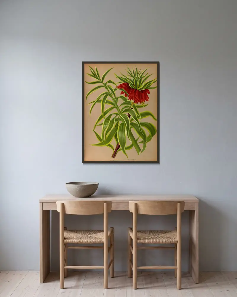 Fritillaria imperialis med gulbrokiga blad av Arentina Hendrica Arendsen inramad på en vägg