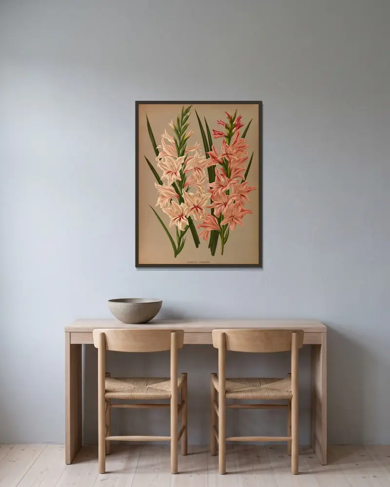 Gladiolus Floribundus av Arentina Hendrica Arendsen inramad på en vägg