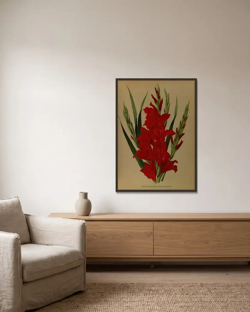 Gladiolus Gandavensis. Var. Brench Leyensis von Arentina Hendrica Arendsen gerahmt an einer Wand