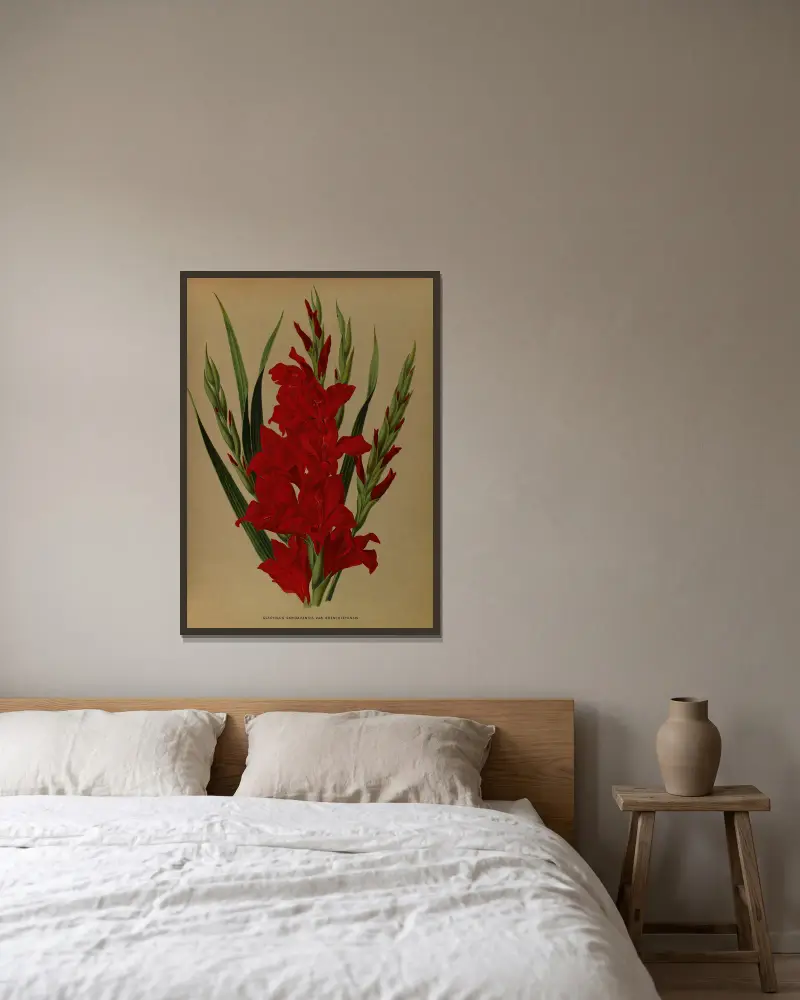 Gladiolus Gandavensis. Var. Brench Leyensis von Arentina Hendrica Arendsen gerahmt an einer Wand