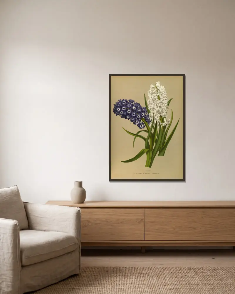 Hyacinths 10 av Arentina Hendrica Arendsen inramad på en vägg