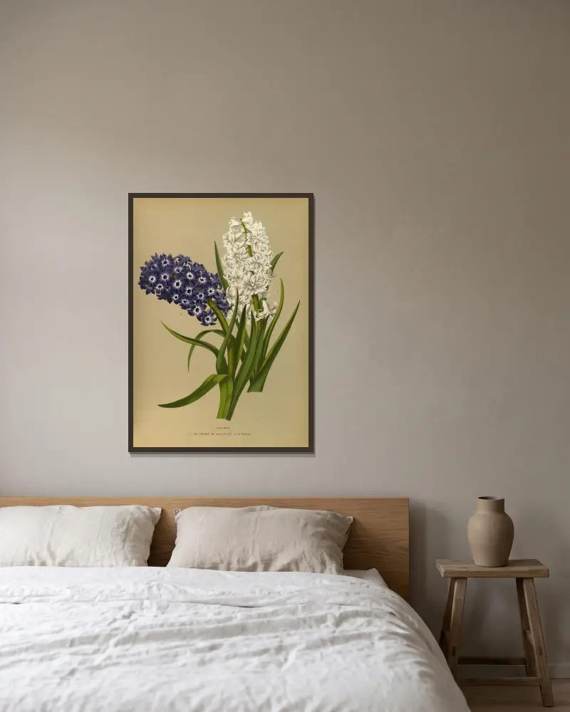 Hyacinths 10 av Arentina Hendrica Arendsen inramad på en vägg