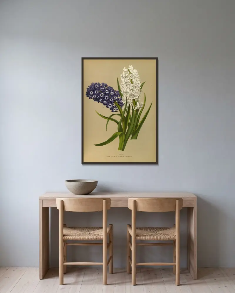 Hyacinths 10 av Arentina Hendrica Arendsen inramad på en vägg