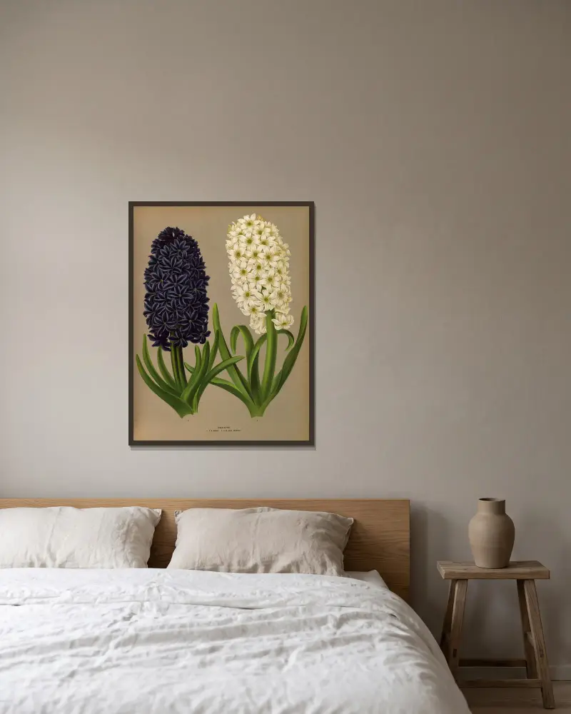 Hyacinths 11 av Arentina Hendrica Arendsen inramad på en vägg