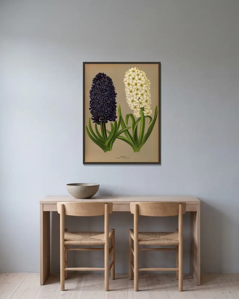 Hyacinths 11 av Arentina Hendrica Arendsen inramad på en vägg
