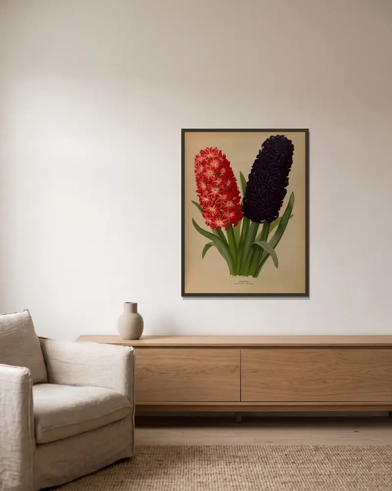 Hyacinths 5 av Arentina Hendrica Arendsen inramad på en vägg