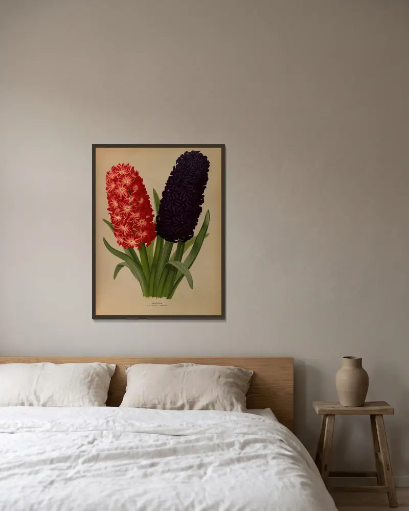 Hyacinths 5 av Arentina Hendrica Arendsen inramad på en vägg
