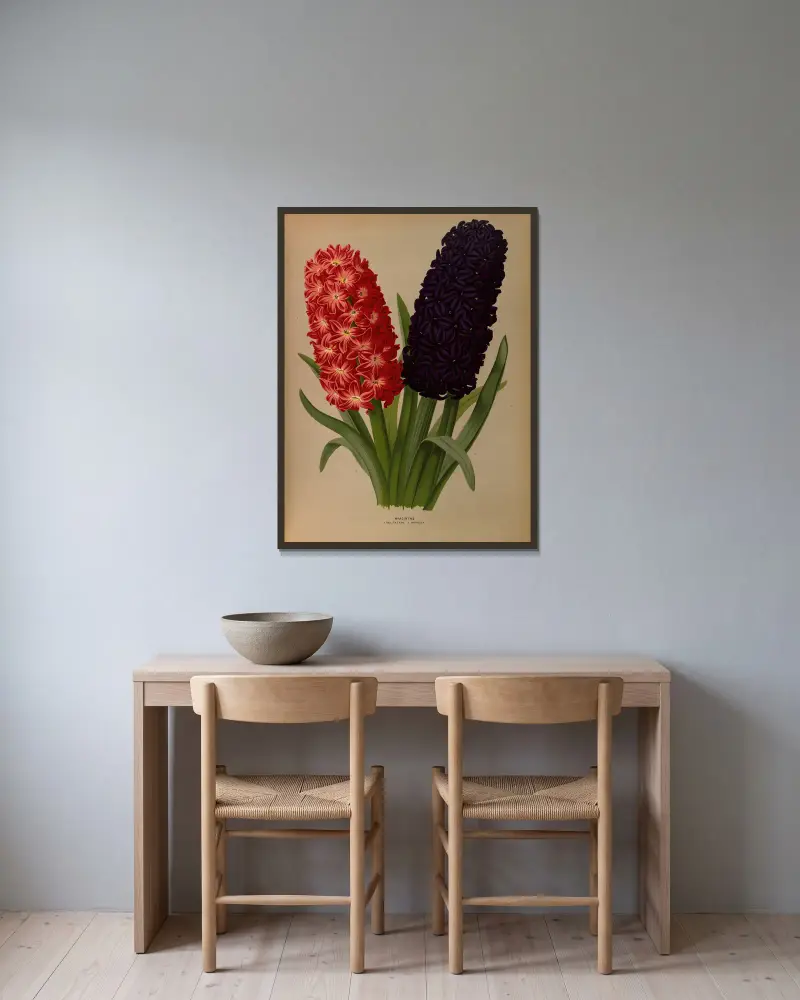 Hyacinths 5 av Arentina Hendrica Arendsen inramad på en vägg