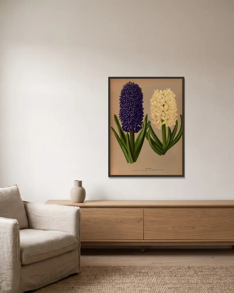 Hyacinths 6 av Arentina Hendrica Arendsen inramad på en vägg