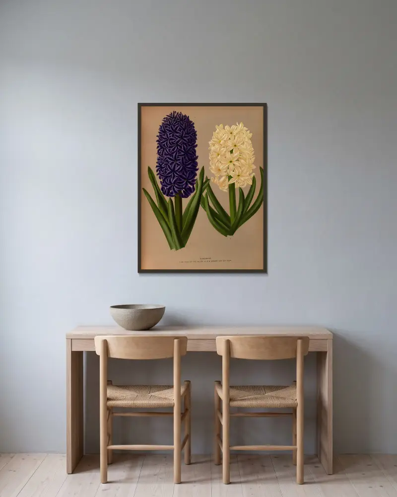 Hyacinths 6 av Arentina Hendrica Arendsen inramad på en vägg