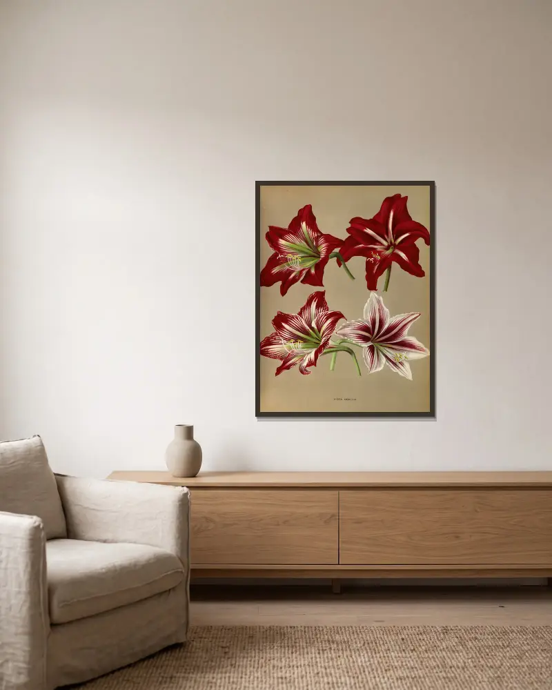 Hybridamaryllis av Arentina Hendrica Arendsen inramad på en vägg