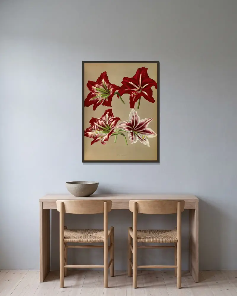 Hybridamaryllis av Arentina Hendrica Arendsen inramad på en vägg