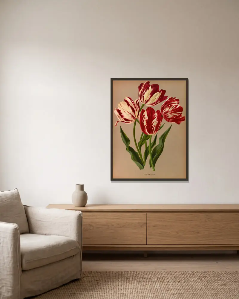 Late Rose Tulips av Arentina Hendrica Arendsen inramad på en vägg