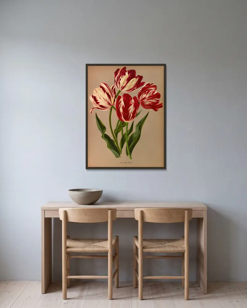 Late Rose Tulips av Arentina Hendrica Arendsen inramad på en vägg