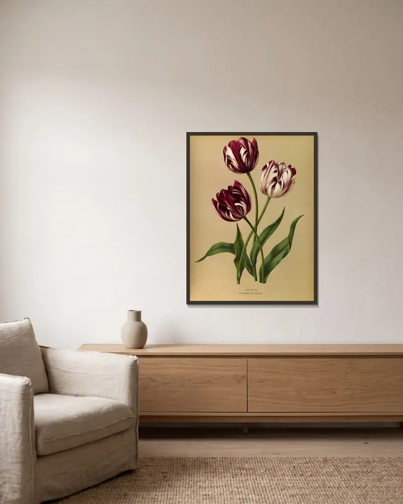 Late Tulips av Arentina Hendrica Arendsen inramad på en vägg