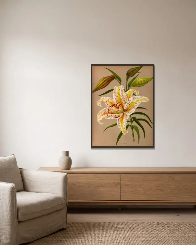 Lilium Auratum av Arentina Hendrica Arendsen inramad på en vägg
