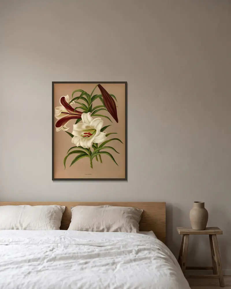 Lilium Brownii av Arentina Hendrica Arendsen inramad på en vägg