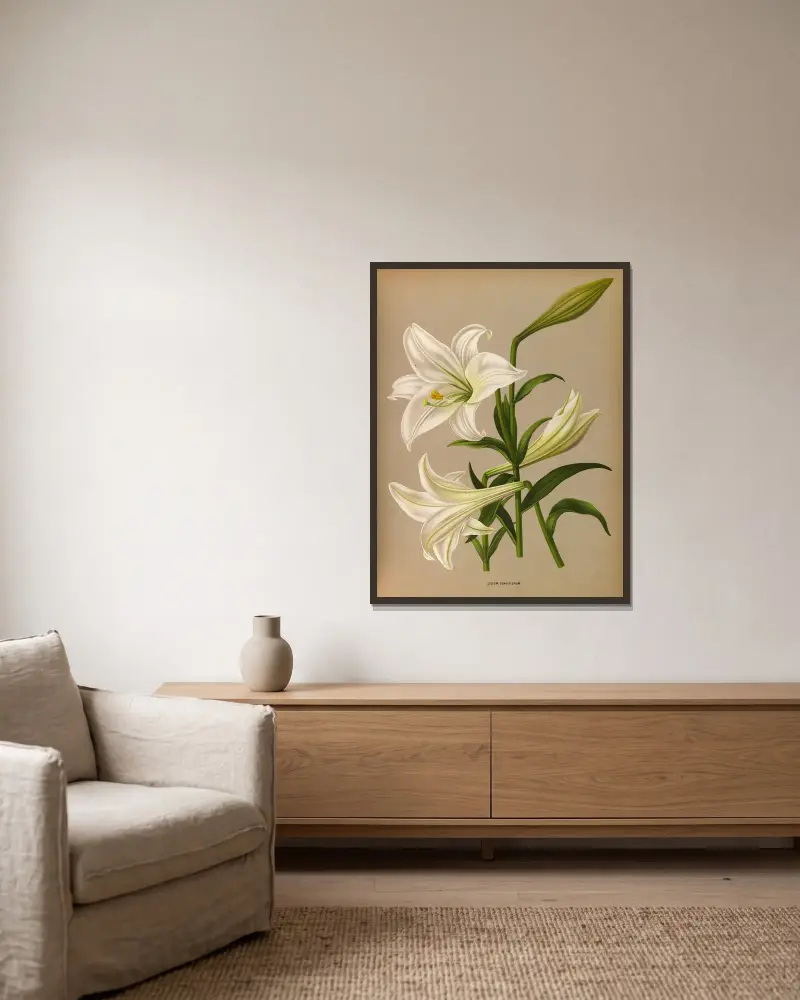 Lilium longiflorum av Arentina Hendrica Arendsen inramad på en vägg
