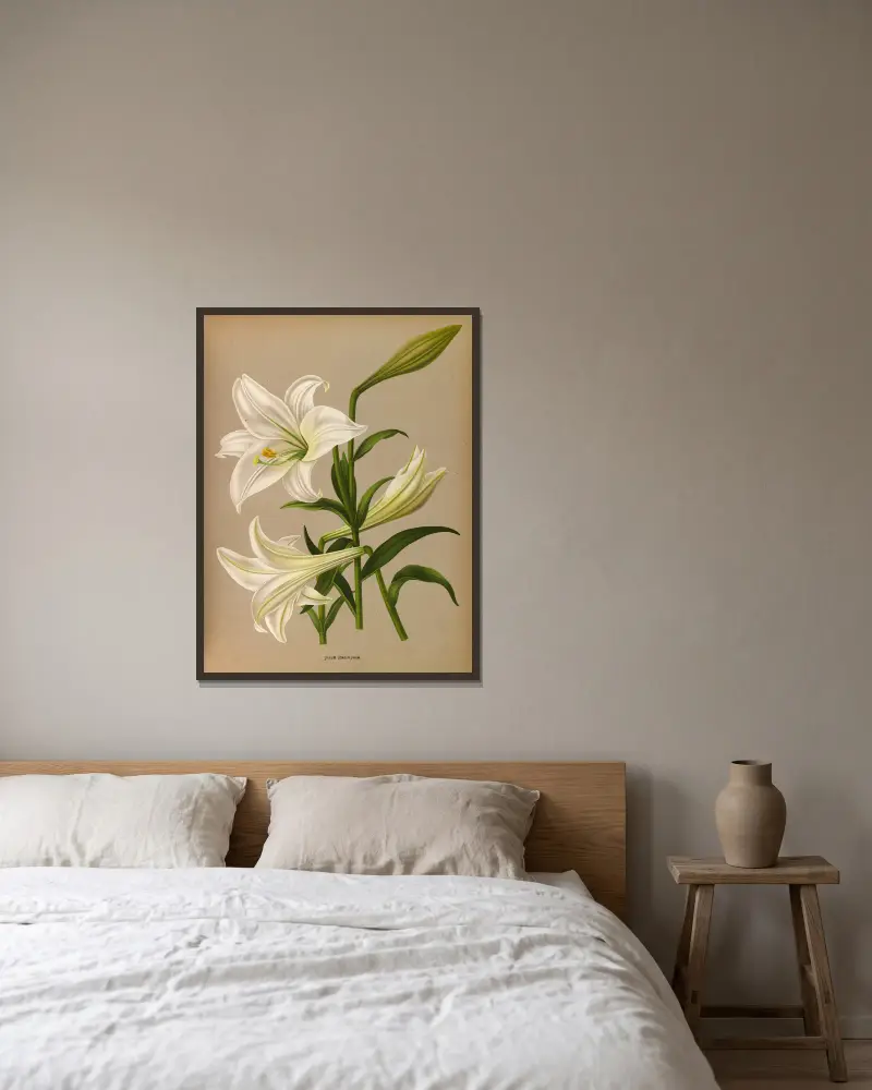 Lilium longiflorum av Arentina Hendrica Arendsen inramad på en vägg