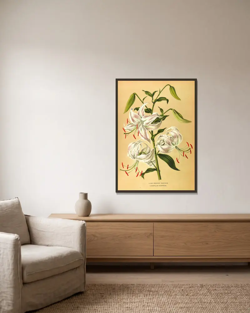 Lilium Speciosum Punctatum av Arentina Hendrica Arendsen inramad på en vägg