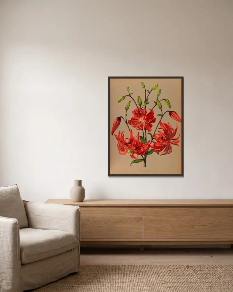 Lilium Tigrinum Flore Pleno. av Arentina Hendrica Arendsen inramad på en vägg