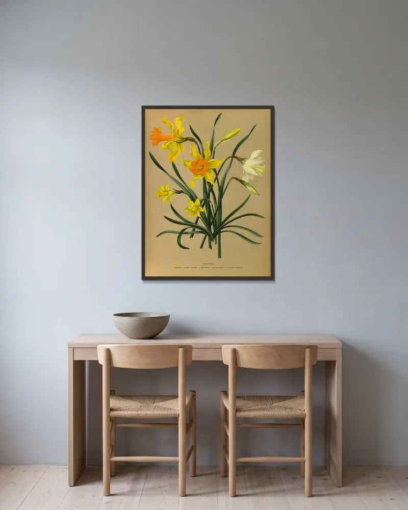 Narcissus 3 av Arentina Hendrica Arendsen inramad på en vägg