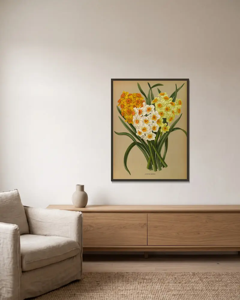 Polyanthus Narcissus av Arentina Hendrica Arendsen inramad på en vägg