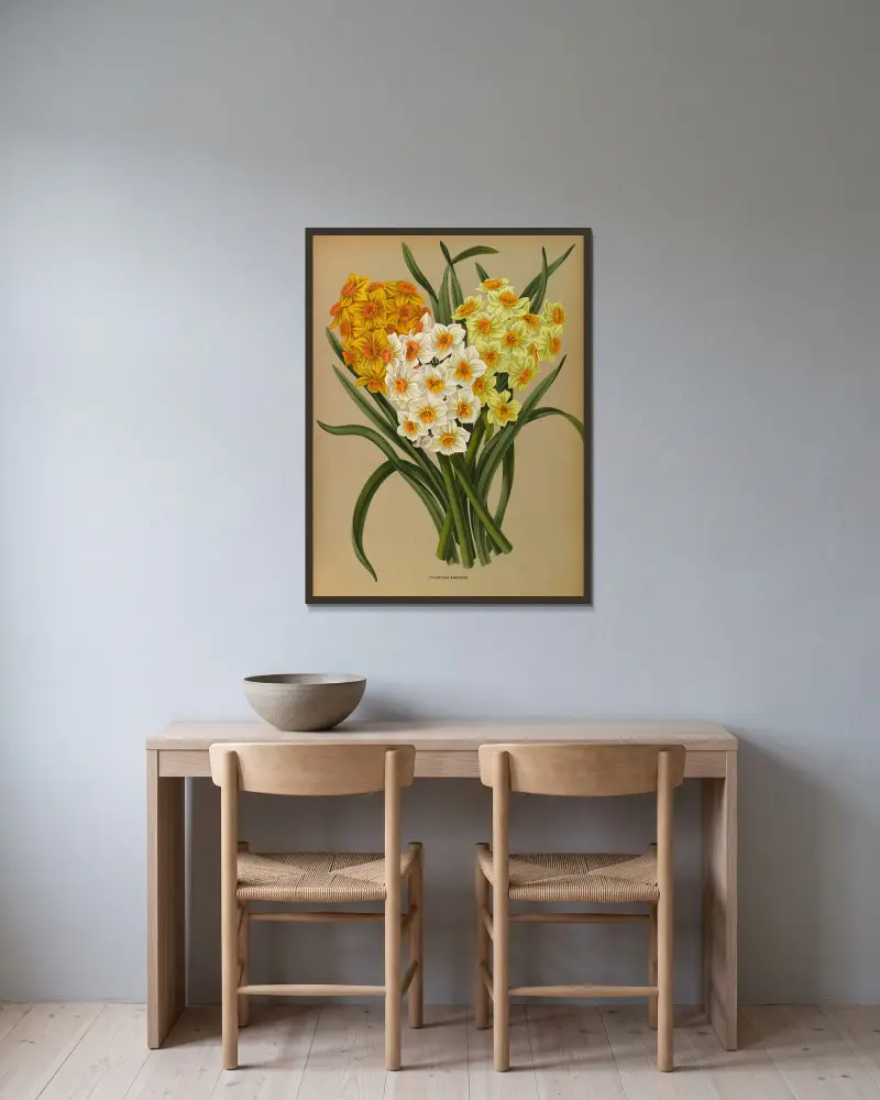 Polyanthus Narcissus av Arentina Hendrica Arendsen inramad på en vägg