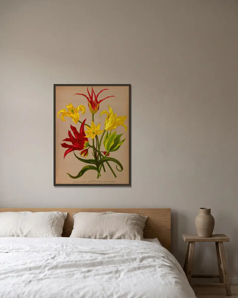 Tulipa av Arentina Hendrica Arendsen inramad på en vägg