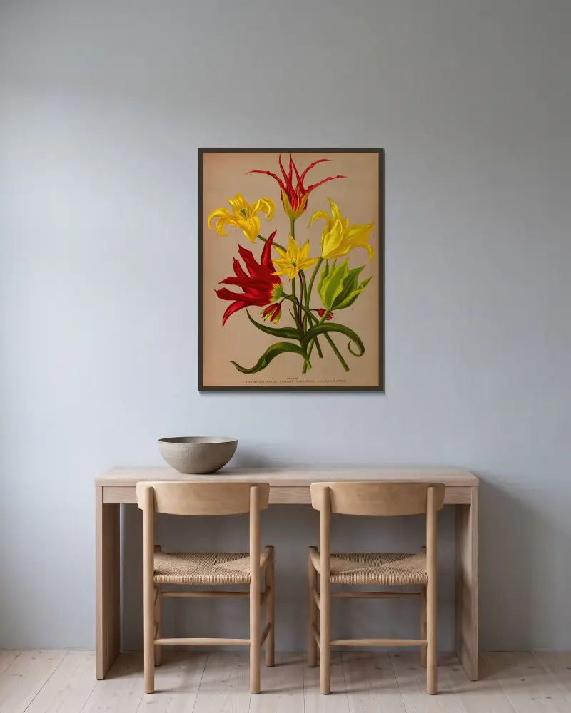 Tulipa av Arentina Hendrica Arendsen inramad på en vägg