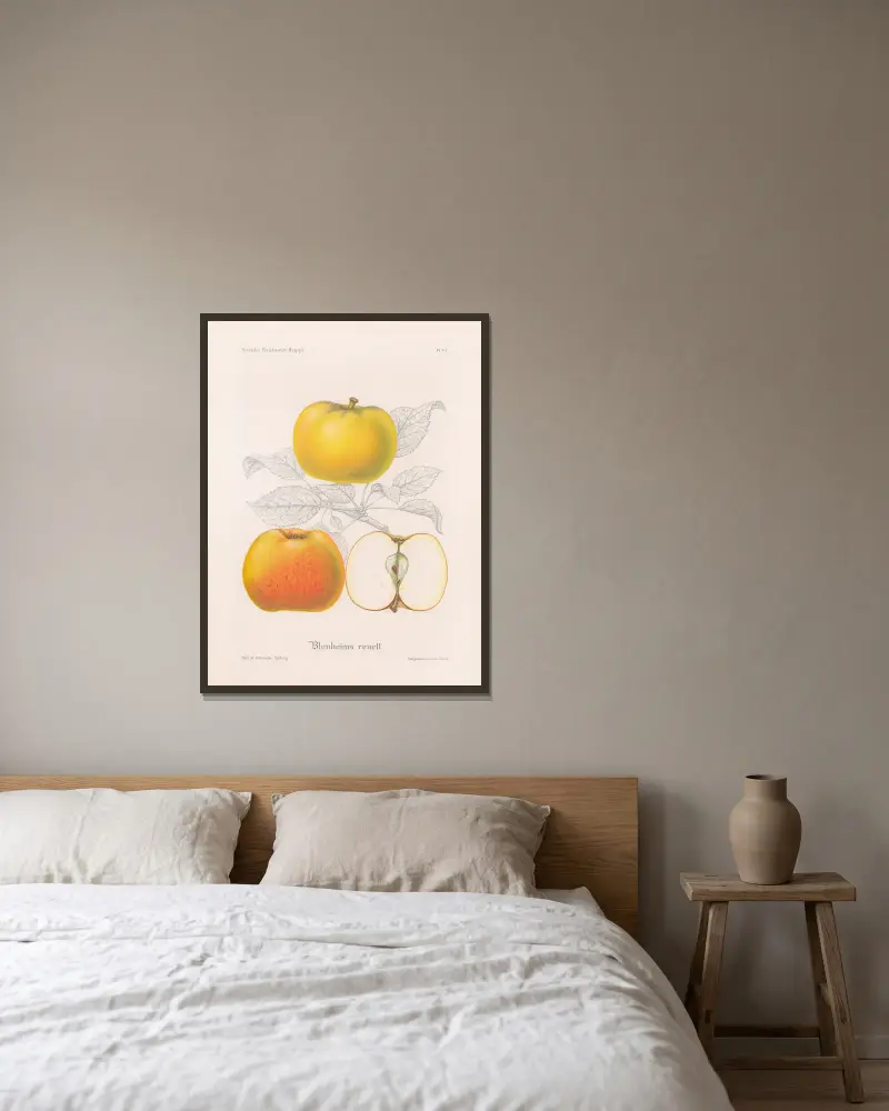 Blenheims Renette von Henriette Sjöberg gerahmt an einer Wand