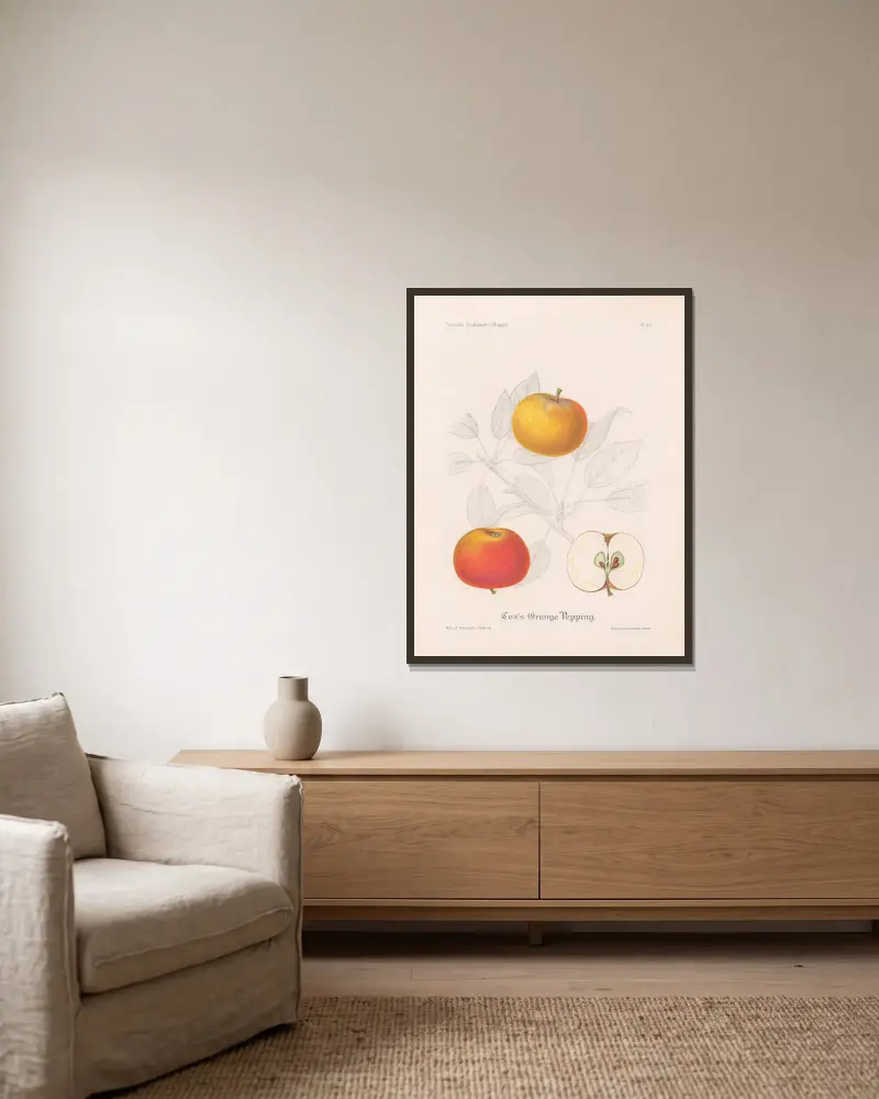 Cox’s Orange Pepping von Henriette Sjöberg gerahmt an einer Wand