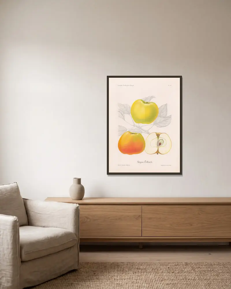 Signe Tillisch von Henriette Sjöberg gerahmt an einer Wand