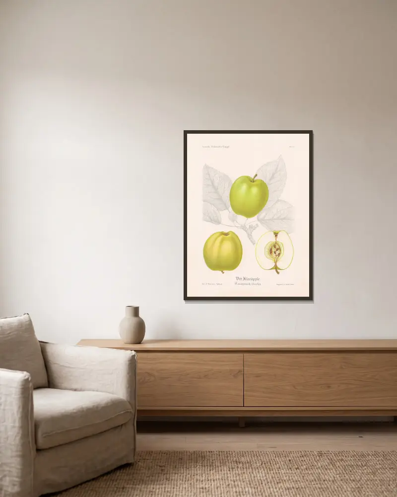 Bílé průsvitné jablko (Transparente blanche), Henriette Sjöberg v rámu na stěně