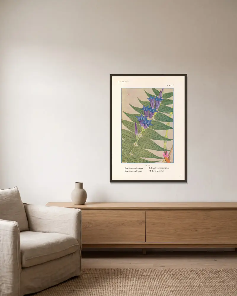 Willow-Gentian av Henry Correvon inramad på en vägg