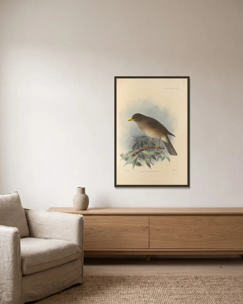Turdus Cryptopyrrhus, Henry Seebohm v rámu na stěně