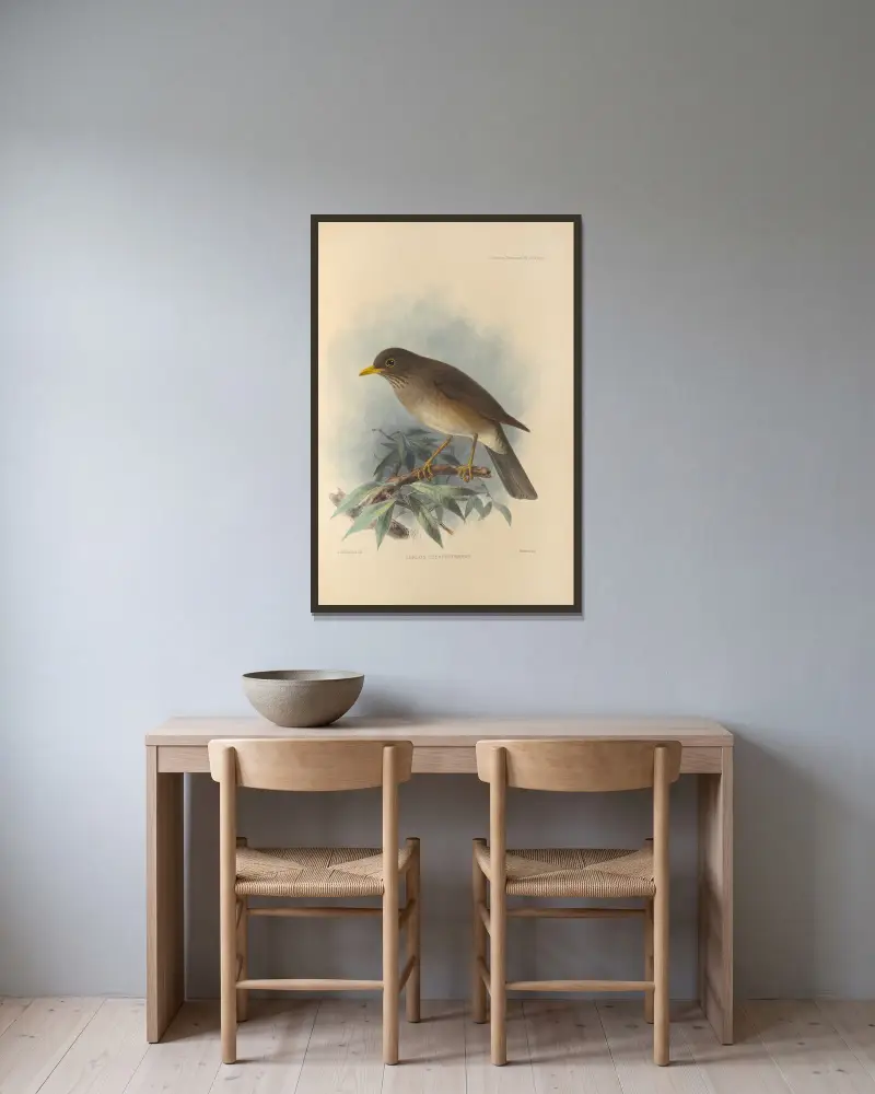 Turdus Cryptopyrrhus, Henry Seebohm v rámu na stěně