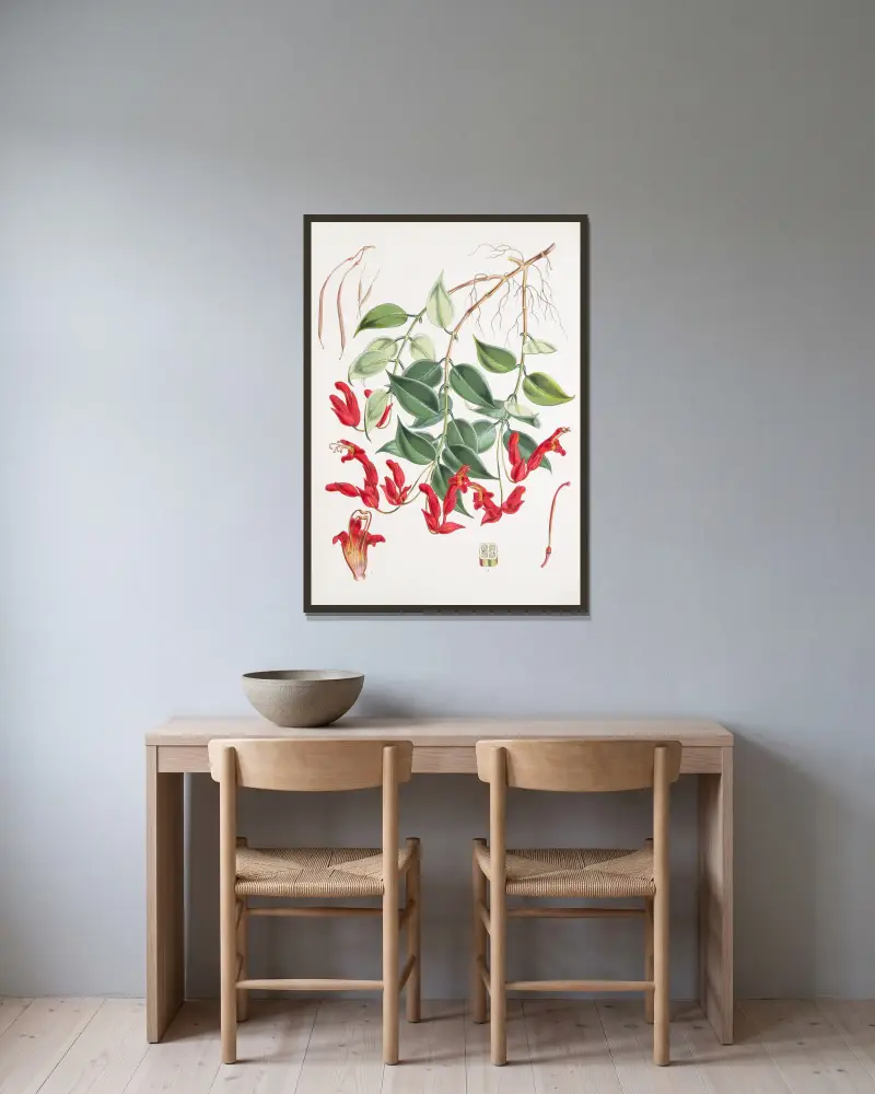 Aeschynanthus Peelii, H.f. & T. von Walter Hood Fitch gerahmt an einer Wand